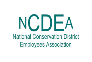 NCDEA