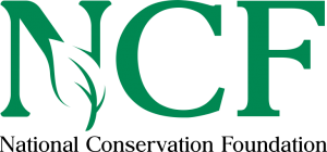 NCF Logo 2020 FINAL Thumbnail