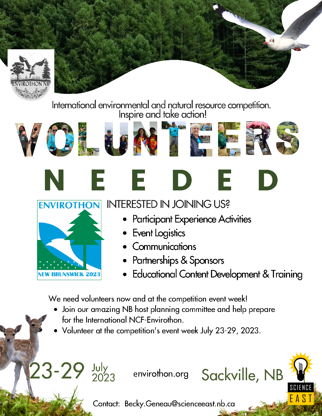 Volunteers Needed Flyer (4) Page 1