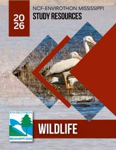 Wildlife Cover